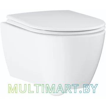 Унитаз Grohe Essence 3957100H картинка 4